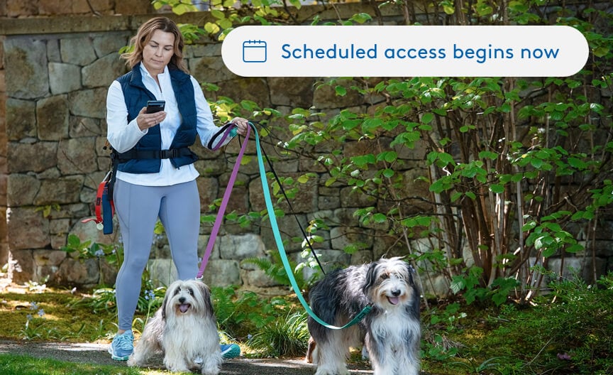 La imagen muestra a un paseador de perros al que se le concede acceso a la casa del dueño del perro a través de Trusted Neighbor La imagen muestra a un paseador de perros al que se le concede acceso a la casa del dueño del perro a través de Trusted Neighbor